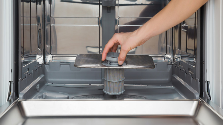 Bulaşık Filtresi tutan kadın