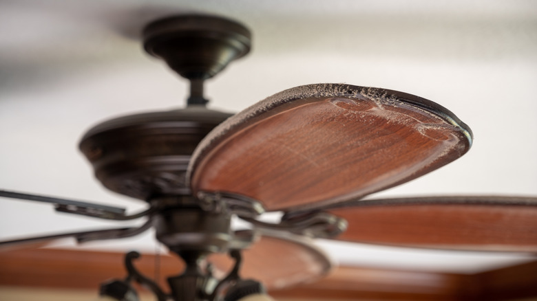 Tavan fanı bıçağı üzerinde toz yakın