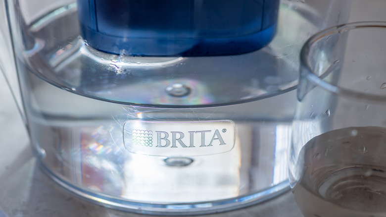 Brita Su Dosyasının Yakın Çıkışı