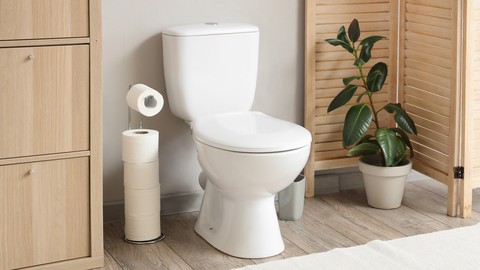 Tuvaletin arkasındaki boyayı bir esinti yapan dahi DIY hilesi