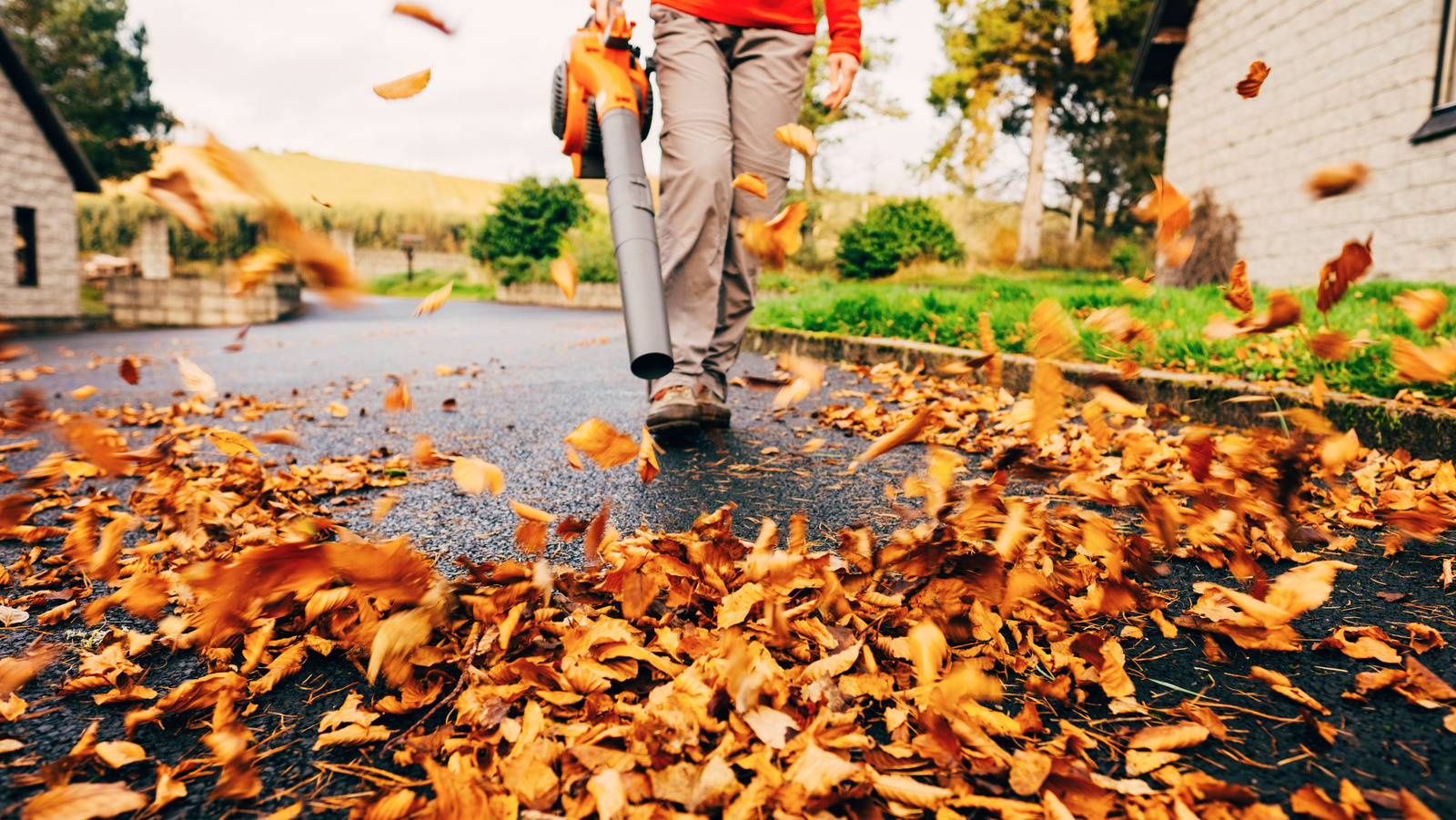 Bahçenizdeki yapraklar sokakta olursa ne olur