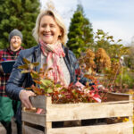 Hızlı Büyüyen Çiçekler Ekim Ayında Hala Ekebilirsiniz