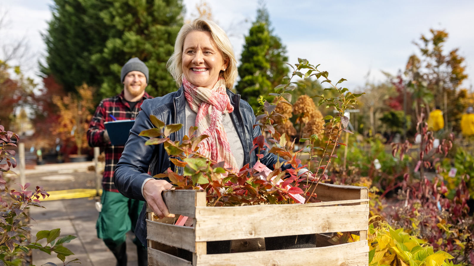 Hızlı Büyüyen Çiçekler Ekim Ayında Hala Ekebilirsiniz