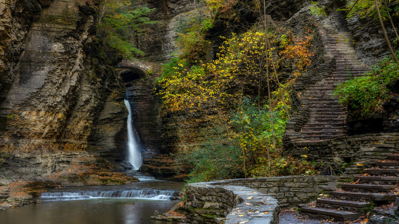 Watkins Glen Eyalet Parkı'nda bir şelale ve yosunlu kayalıklar