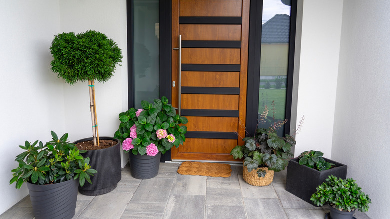 Siyah saksılardaki bitkilerle çevrili siyah ve kahverengi ön kapı