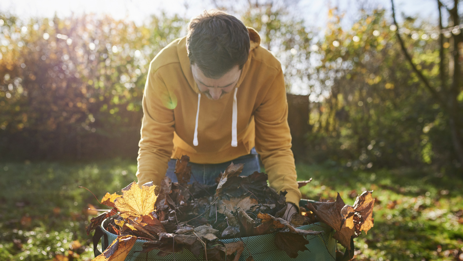 Bitkileri Hastalıklardan Korumaya Yardımcı Olan Sonbahar Bahçesi Bakım Görevi