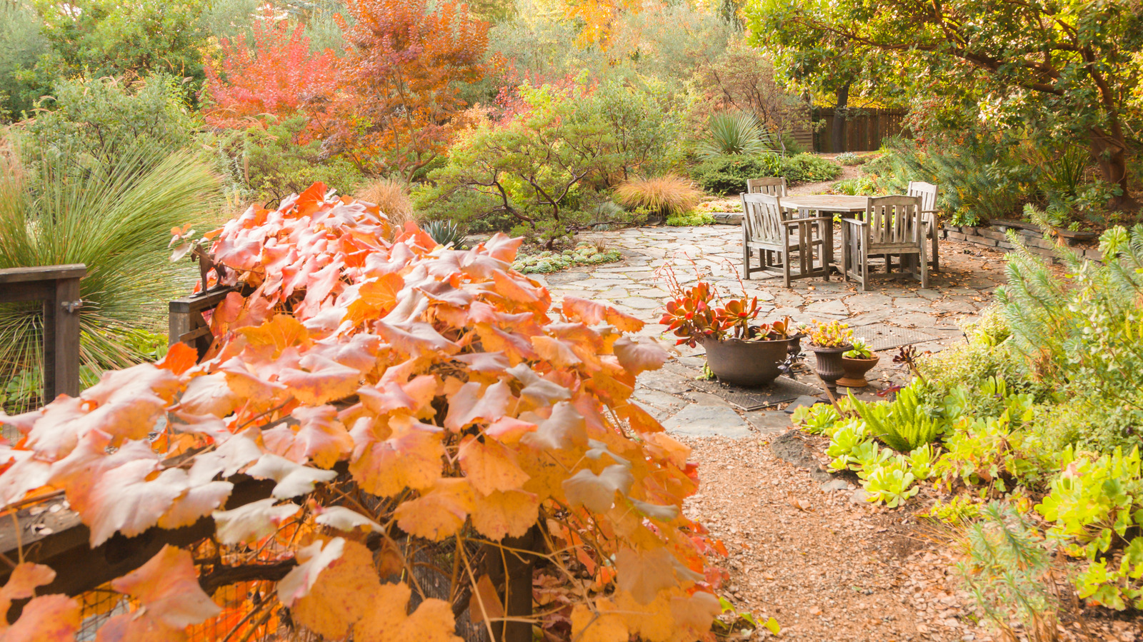 La Niña Sonbahar Bahçesi Planlarınız Üzerinde Büyük Bir Etki Oluşturmak Üzere
