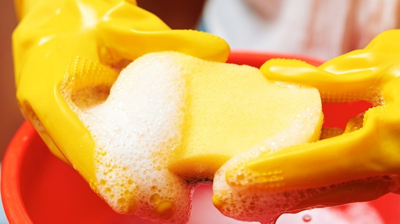 Sarı lastik eldivenli kişi kırmızı kovanın üzerinde sabunlu sünger tutuyor