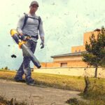 DeWalt'ın 60V Max Sırt Çantası Yaprak Üfleyicisini Satın Almadan Önce Bilmeniz Gerekenler