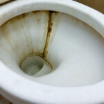 Tuvalet Temizlemeyi Kolaylaştıran Kağıt Havlu Hilesi