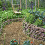 Bahçeye Dikildiğinde Yabani Otları Engellemeye Yardımcı Olacak Yaygın Baharat