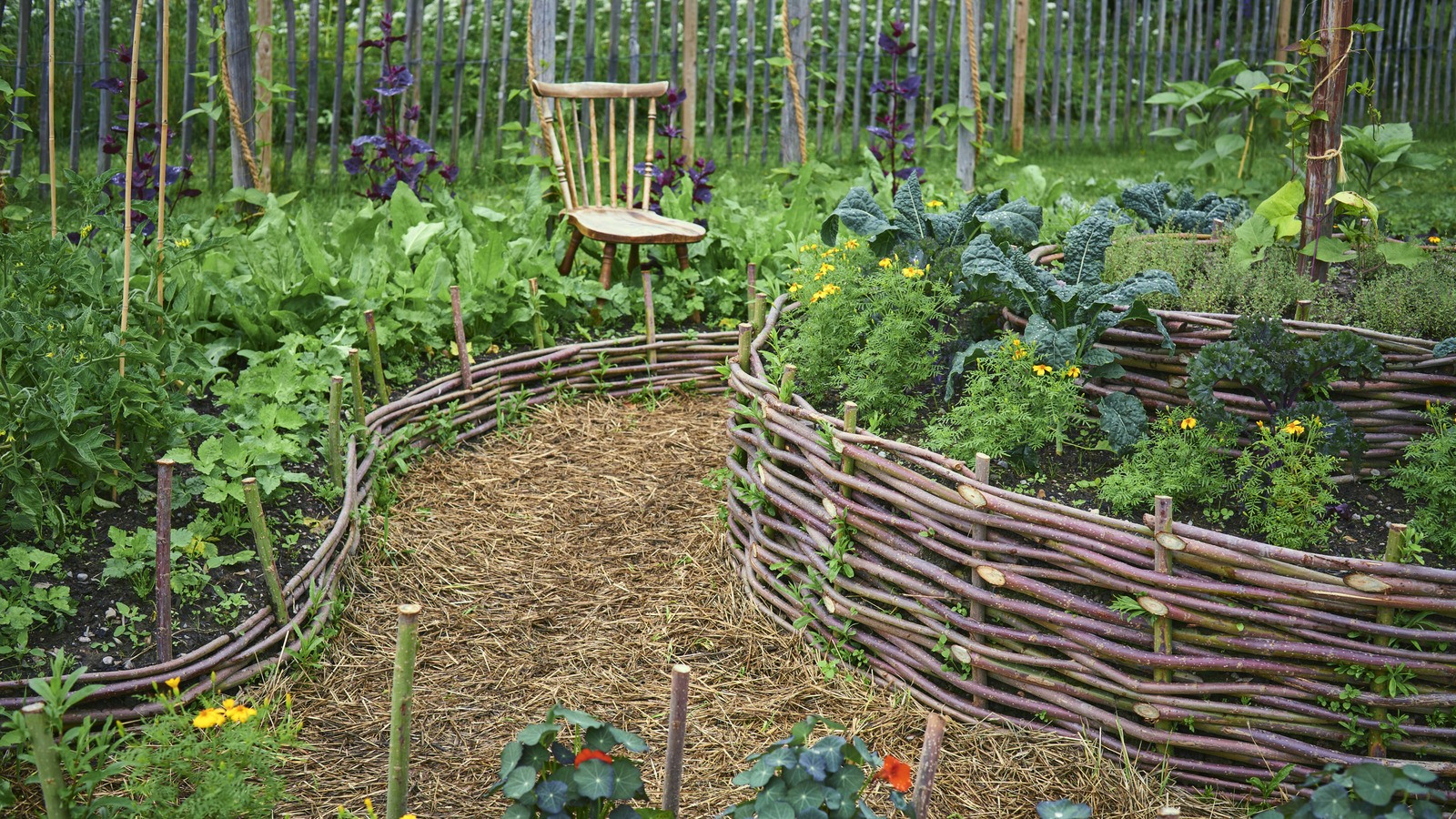 Bahçeye Dikildiğinde Yabani Otları Engellemeye Yardımcı Olacak Yaygın Baharat