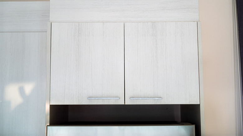 Buzdolabının üstünde bitki bulunan küçük mutfak