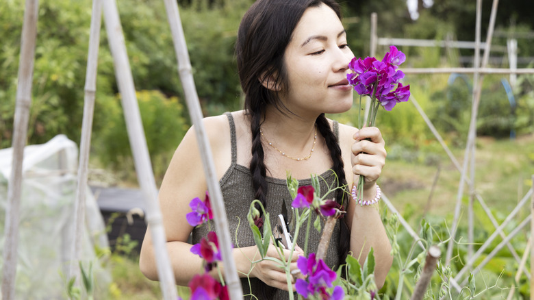 Bahçede bezelye çiçeği kokan kadın