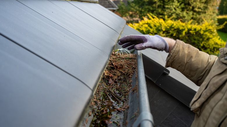 Tıkanmış ve tıkanmış bir yağmur oluğunu elle temizleme