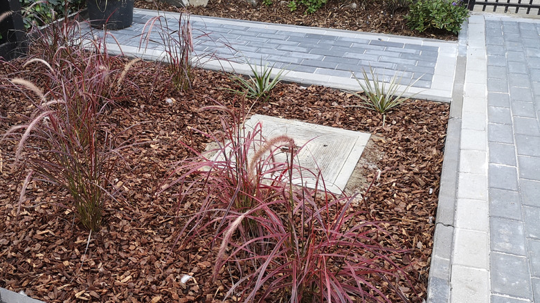 Peyzaj alanına ağaç kabuğu parçacıkları ekleniyor