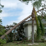 Evinizi Tropikal Fırtınalara veya Kasırgalara Hazırlamak İçin Temel Kontrol Listesi