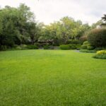 İklim, Çimlerinizi Yırtma Zamanının Geldiğine İşaret Ediyor