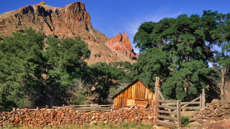 Rocky Ontario, Oregon eyaletin kurak doğu kesimindedir