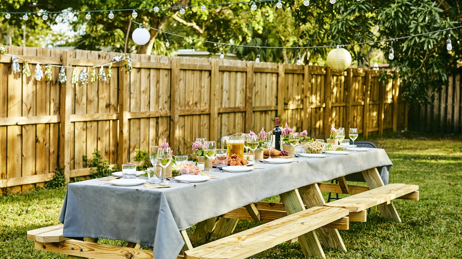 Çirkin Çitinize Canlı Renk Katan Hızlı Tırmanan Bitki