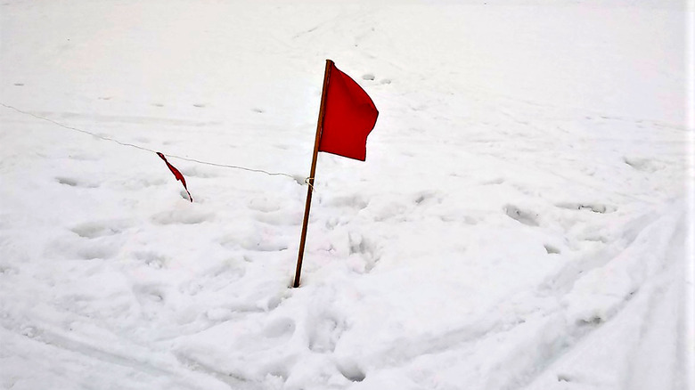 karda küçük kırmızı bayrak