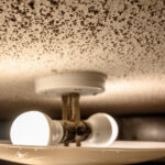 Patlamış Mısır Tavanınızı Kaldırmak mı İstiyorsunuz? İşte Size Maliyeti Ne Kadar Olacak