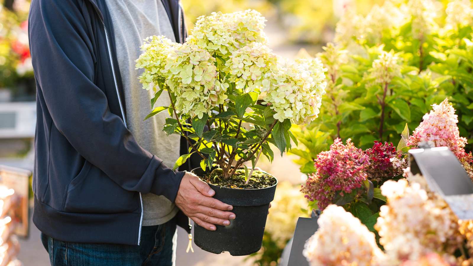 Ortancalara Elveda Deyin, Bunun Yerine Bu Benzer Görünümü Deneyin