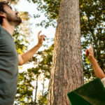 Bahçenize Ağaç Dikmek Hakkında Bilmeniz Gereken Her Şey