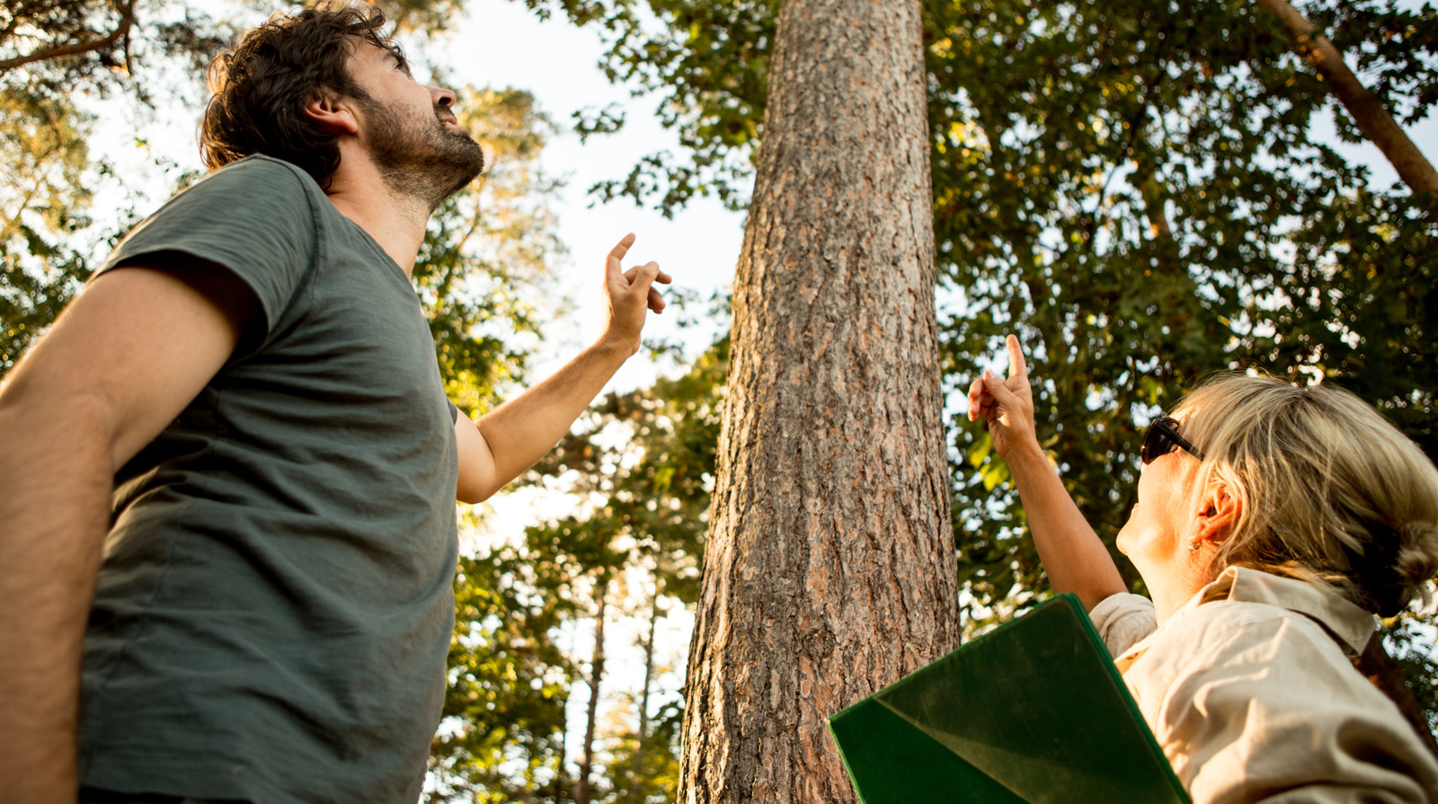 Bahçenize Ağaç Dikmek Hakkında Bilmeniz Gereken Her Şey
