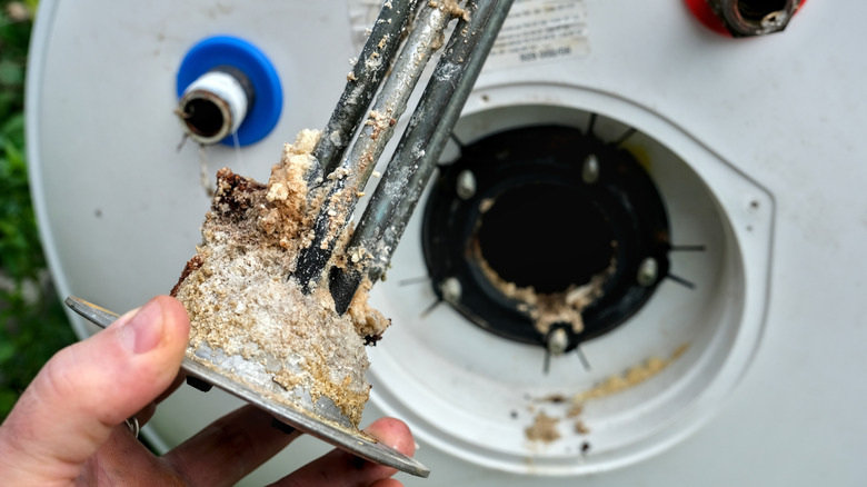 Tortu kaplı elektrikli su ısıtıcı elemanını elle çekerek