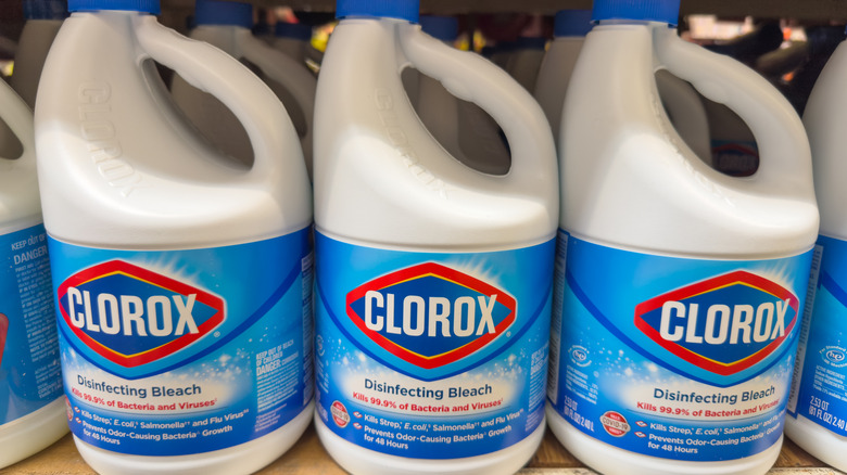 Bir bakkal rafını kaplayan Clorox Bleach şişeleri.