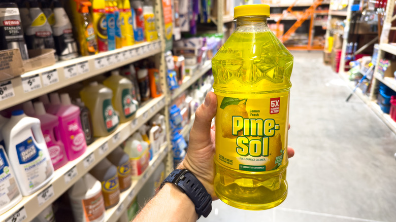 Bir kişi bir hırdavatçıda bir şişe Pine-Sol tutuyor.