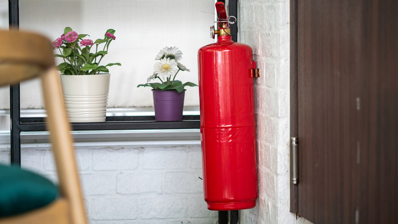 Bitkilerin yanındaki duvarda kırmızı bir yangın söndürücü