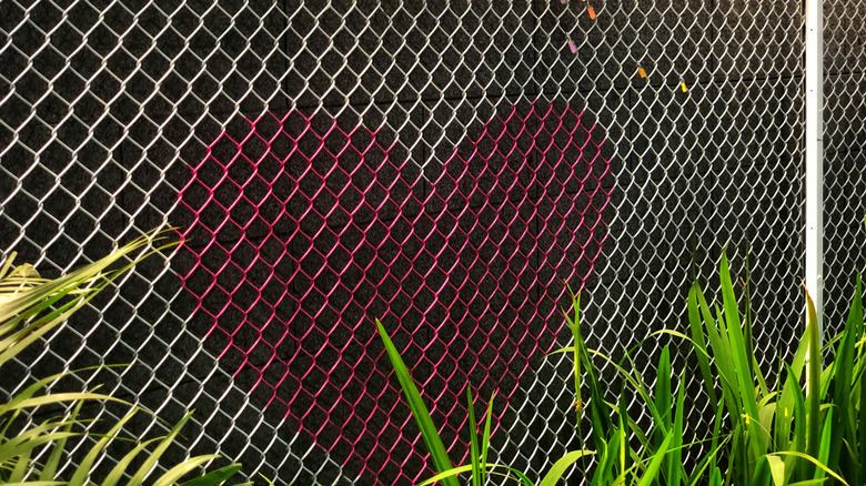 Zincir bağlantı çitinin üzerine boyalı kalp