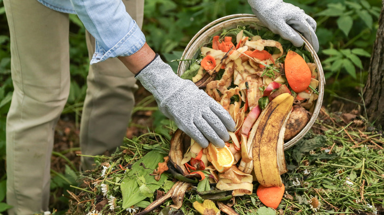 bahçıvan kompost yığınına ekleme yapıyor