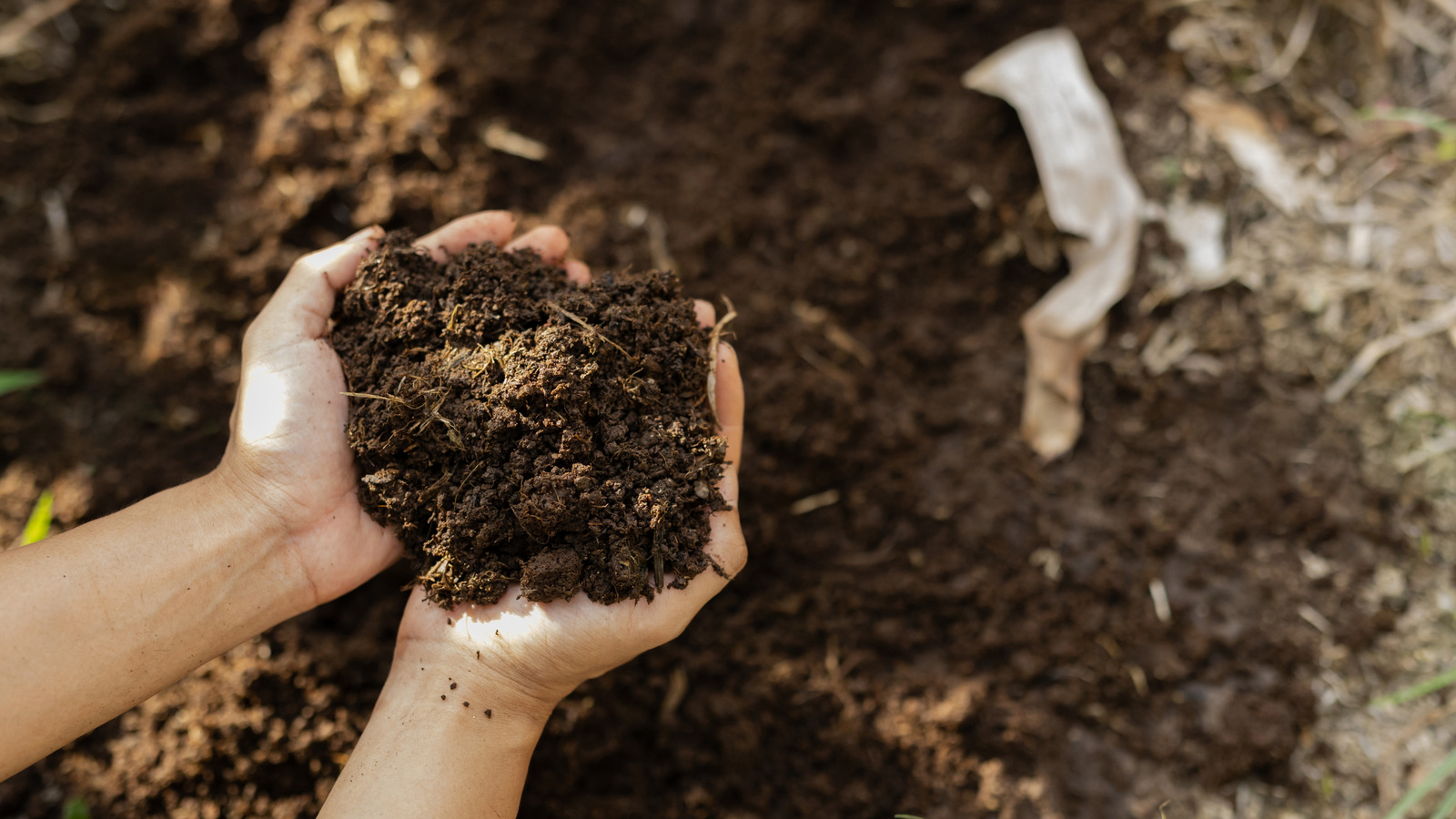 Gelecek Baharda Başarılı Bir Bahçe İçin Ekim Ayında Toprağınıza Basit Bir Ekleme Yapın