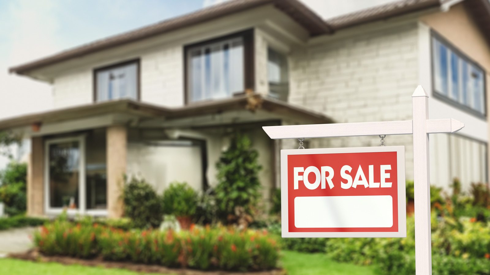 Ev Satın Almadan Önce Potansiyel Haşere Sorunlarına Göz Atın: İşte Nasıl Yapılacağı