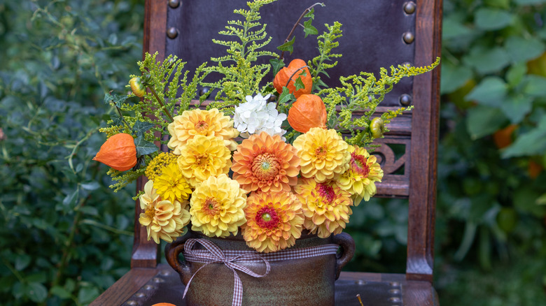 Altın başak ve diğer birkaç çiçek türü dışarıdaki eski bir sandalyenin üzerindeki saksıda