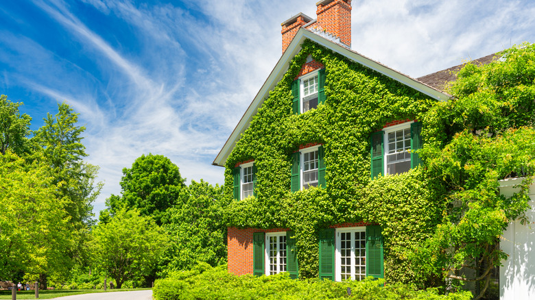 Kennett Square, Pensilvanya: Peirce-du Pont House'daki Longwood Gardens botanik bahçeleri.