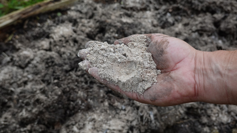 Kompost yığınının üzerinde kül tutan bir el.