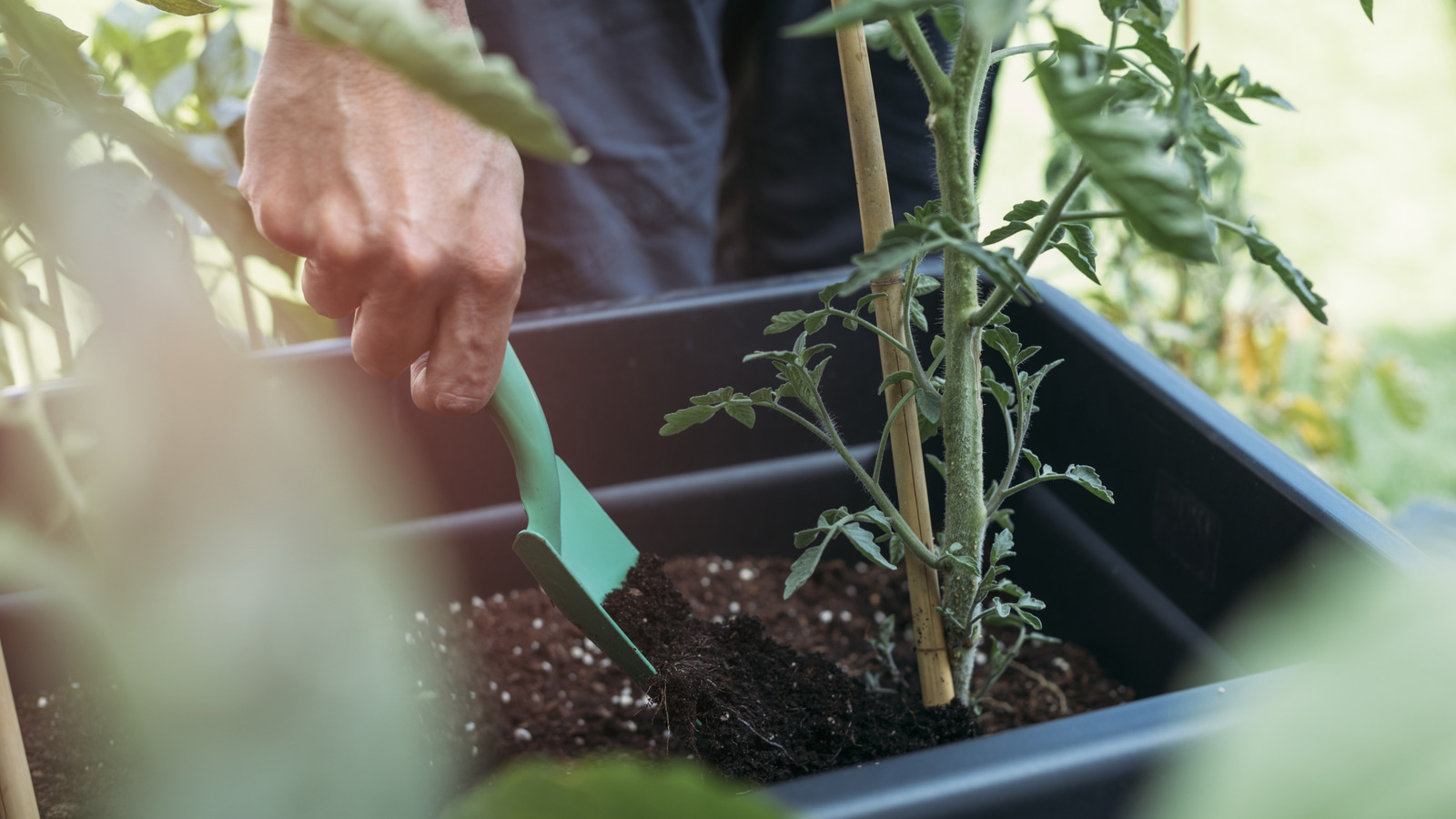 Sağlıklı Bitkiler ve Toprak İçin Basit 2 Bileşenli Gübre