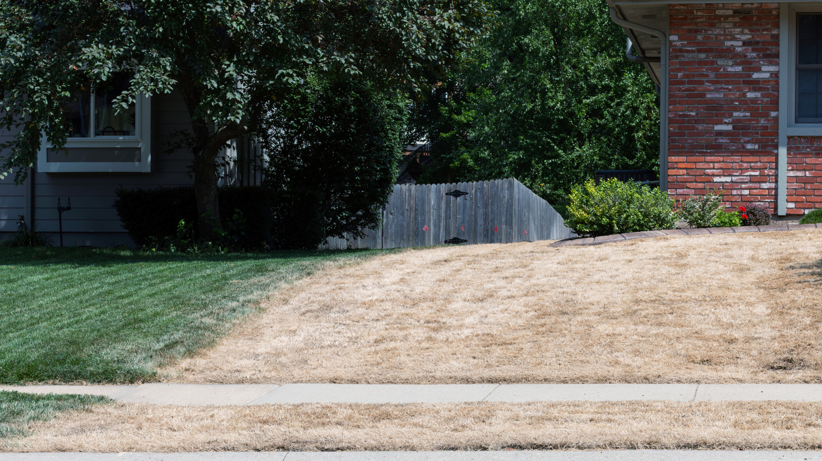 Çiminizi Çıkarmadan Nasıl Değiştirirsiniz?