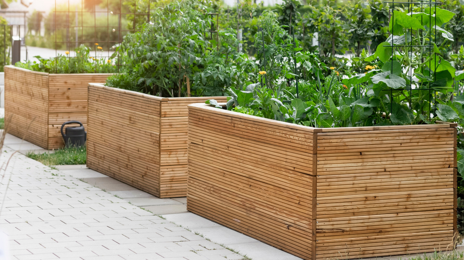 Şiddetli Yağmurdan Sonra Yükseltilmiş Bahçe Yatağınızın Bakımı Nasıl Yapılır?