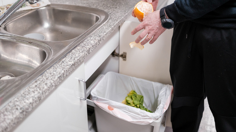 Adam mutfak lavabosunun altındaki kompost kutusuna portakal kabuğu atıyor.