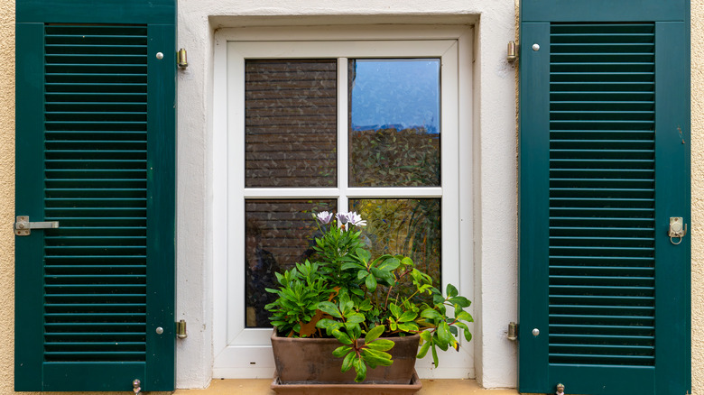 Sarı alçı duvarın içine beyaz süslemeli tek bir pencere yerleştirilmiştir. Pencerenin her iki tarafı da yeşil ahşap panjurlarla çerçevelenmiştir.