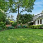 Bahçenizdeki Ağaca Zarar Verebilecek Dikkat Edilmesi Gereken Zehirli, İstilacı Zararlı