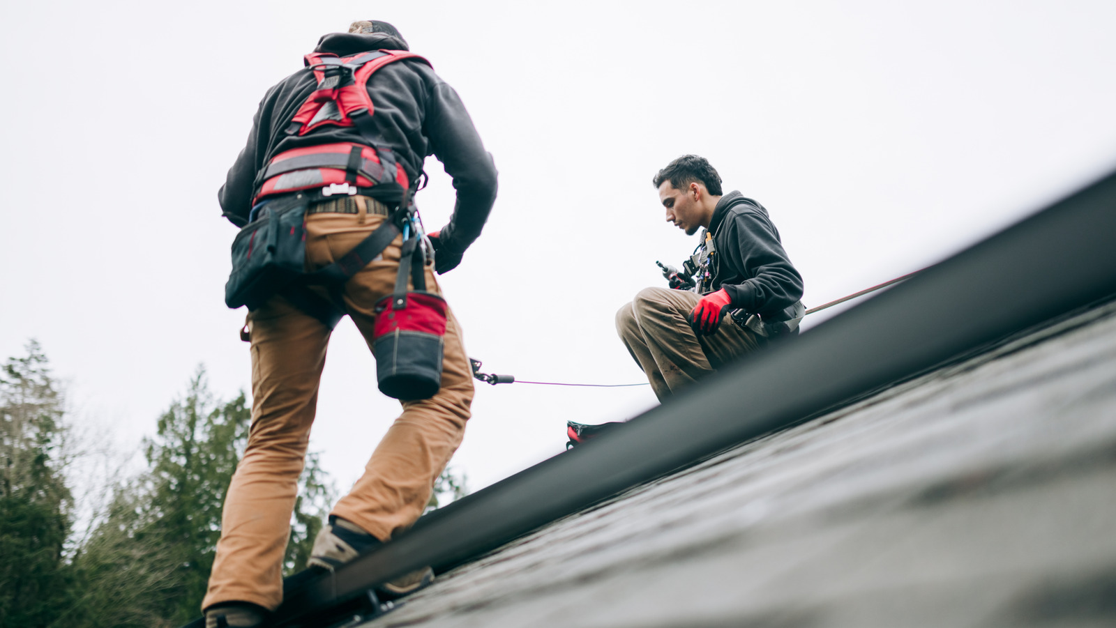 Artan Sıcaklıklarla Mücadele İçin Çatı Kaplama Yasasını Geçiren Son Şehir