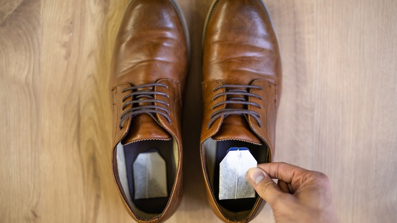 Kahverengi erkek ayakkabısına çay poşetleri koyan el