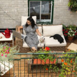 Yeterince Değerlendirilmemiş, Büyümesi Kolay Çok Yıllık Bir Bitki ile Verandanızın Etrafına Renk Katın