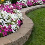 İlkbaharda Daha Büyük Çiçekler İçin Bahçenize Sonbaharda Garip Bir Malzeme Ekleyin